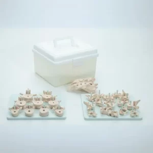 COL 1140 - Coluna Vertebral Desarticulada em caixa de plástico
