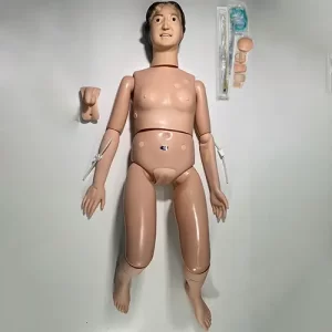 COL 1401-F - Manequim Básico Adulto Bissexual P/ Cuidados em Enfermagem e RCP - Feminino