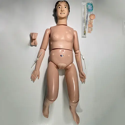 COL 1401-F - Manequim Básico Adulto Bissexual P/ Cuidados em Enfermagem e RCP - Feminino