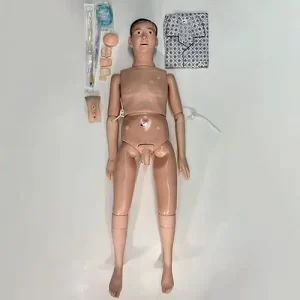COL 1401-M - Manequim Básico Adulto Bissexual P/ Cuidados em Enfermagem e RCP - Masculino