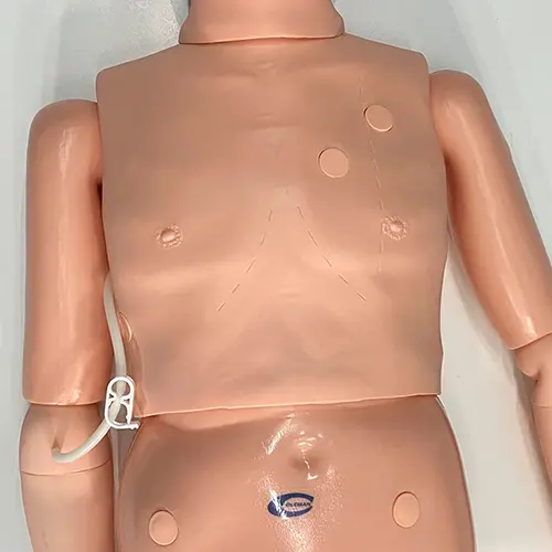 COL 1401-M - Manequim Básico Adulto Bissexual P/ Cuidados em Enfermagem e RCP - Masculino - Image 2