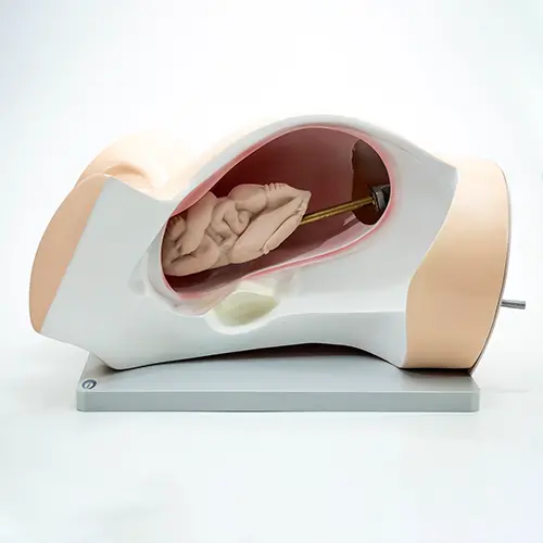 COL 1402 - Simulador de Parto Classico - Image 2