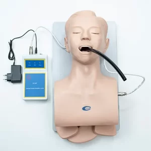 COL 1407 - Modelo para Intubação Adulto c/indicador