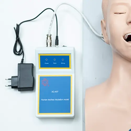 COL 1407 - Modelo para Intubação Adulto c/indicador - Image 3