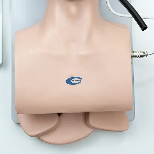 COL 1407 - Modelo para Intubação Adulto c/indicador - Image 4
