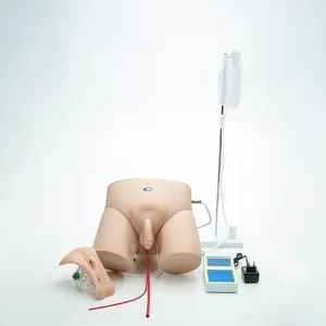 COL 1408 - Simulador para Cateterização, Bissexual, com Dispositivo de Controle