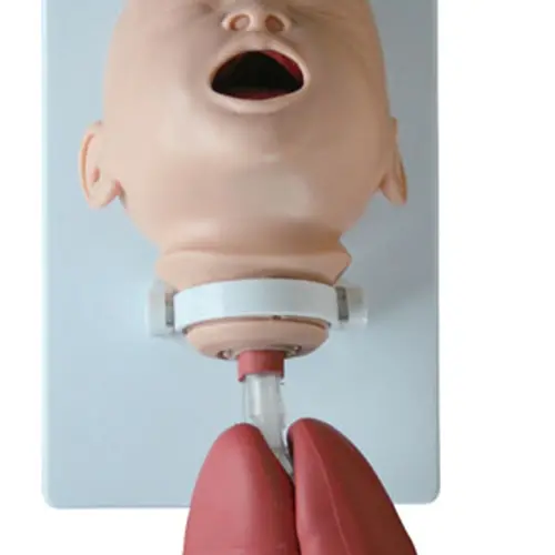 COL 1410-A - Simulador de Intubação Avançado Criança - Image 4