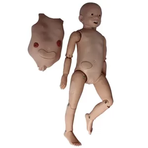 COL 1425 - Manequim Bissexual Intantil c/órgãos internos