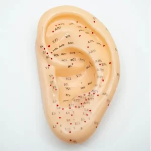 COL 1508-B - Orelha p/ Acupuntura de 13cm