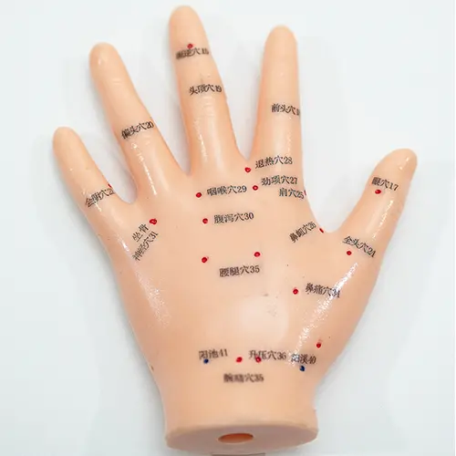 COL 1509 - Mão p/ Acupuntura de 13cm - Image 3