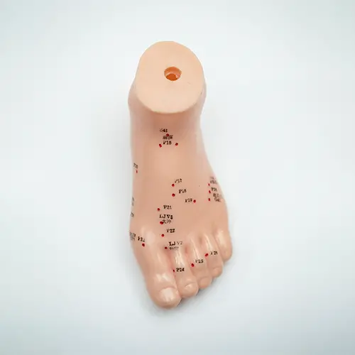 COL 1510 - Pé p/ Acupuntura de 13cm