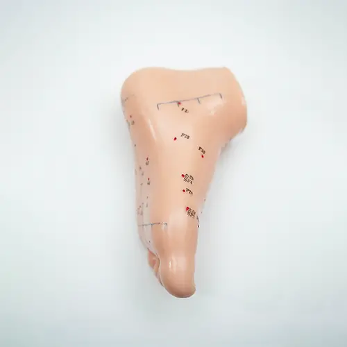 COL 1510 - Pé p/ Acupuntura de 13cm - Image 2