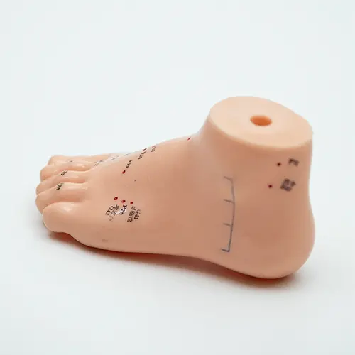 COL 1510 - Pé p/ Acupuntura de 13cm - Image 4