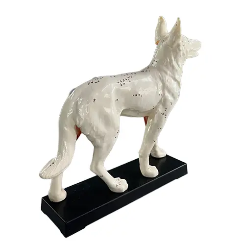 COL 1601 - Cachorro p/ Acupuntura de 13cm - Image 3