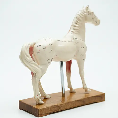 COL 1602 - Cavalo p/ Acupuntura de 13cm - Image 4