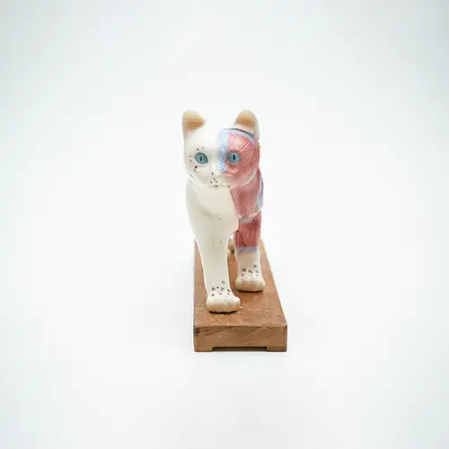 COL 1605 - Gato p/ Acupuntura de 13cm - Image 2