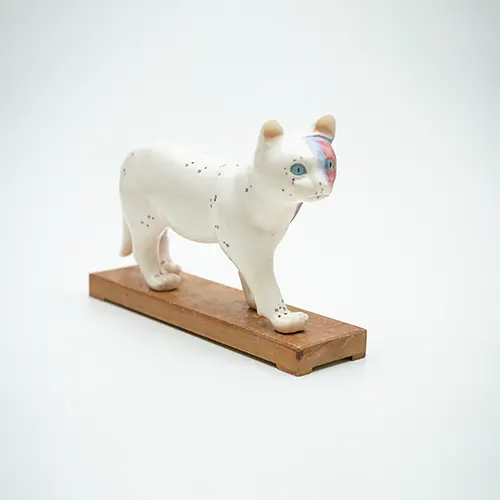 COL 1605 - Gato p/ Acupuntura de 13cm - Image 3