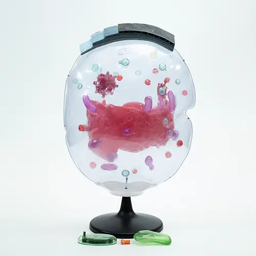 COL 1900 - Célula Animal Luxo Ampliada 20.000x