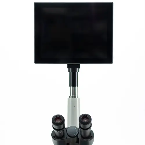 COLEMAN NLCD PAD