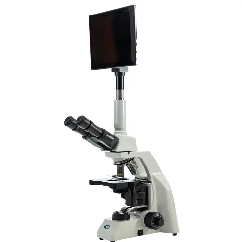 COLEMAN NLCD PAD - Image 2