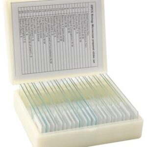 Lâminas Preparadas de Histologia Animal com 30 Peças CHA-30