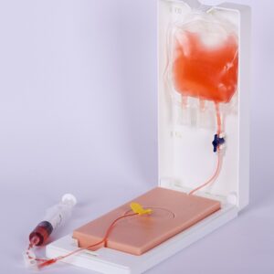 COL 1432-A - Modelo Portátil de Punção Venosa Central